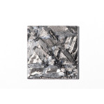 Meteorit - Scheibe 12,73 g
